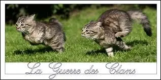 Qui chasse le dernier des guerriers, sans compter toile Brise ?