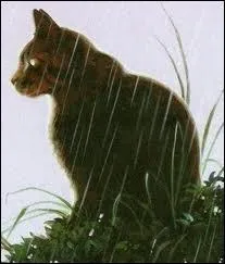 Est-ce la dernire vie d'toile Brise ? Les chats du clan du Tonnerre le tue-t-il dans ce chapitre ? Si oui, qui le tue ?