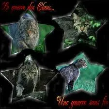 Quelle patrouille rentre en premier ? Celle d'toile Bleue ou celle de Griffe de Tigre ?