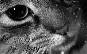 Quel est le dernier mot du chapitre 26 ?