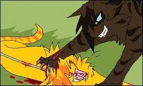 Cur de Feu et Museau Balafr s'attaquent. Museau Balafr fait mal  Cur de Feu  la cuisse. En le griffant ou en le mordant ?