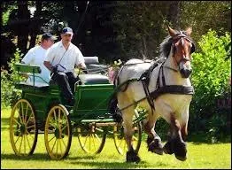 Pour quelles activits est-il utilis ?