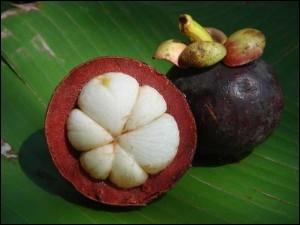 Quel nom porte ce fruit ?