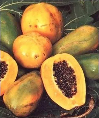 Quel nom porte ce fruit ?