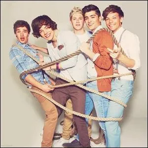 A quelle mission ont-ils pass une audition ? (celle qui les a fait se runir)