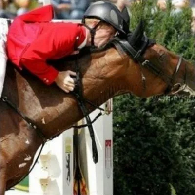 Que pourrait-on dire de ce cavalier ?