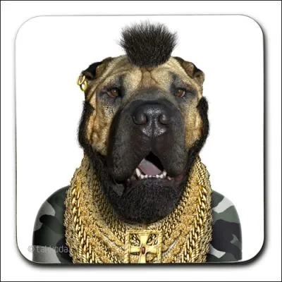 Quand il ne prend pas des coups de Rocky, il est de tous les risques...