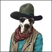  Rio Grande  et  Rio Bravo  sont deux des nombreux westerns qu'il a jou.