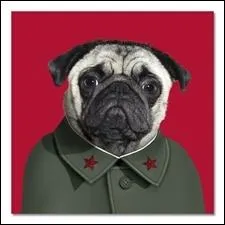 Fondateur et dirigeant d'un tat de type totalitaire nomm la  Rpublique populaire de Chine .