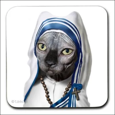 Religieuse catholique clbre pour sa fondation  les Missionnaires de la Charit  et ses oeuvres caritatives...