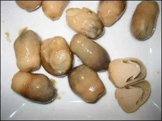 Ce sont des champignons de paille.