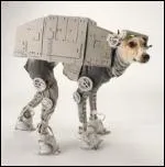 Avec quel vaisseau  Star Wars  ce lvrier a-t-il t crois ?