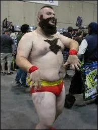 Dans quel jeu vido le personnage de Zangief est-il jouable ?