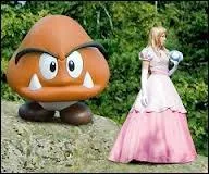 Quel personnage poursuit la princesse ?