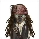  Edward aux mains d'argent  ou la saga  Pirates des Carabes  pour ce talentueux acteur.