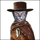 Acteur ou ralisateur de grand talent, on lui doit  Million Dollar Baby  ou encore  Sur la route de Madison .