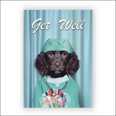 Mdecin sans scrupule, ni respect pour son quipe, souvent odieux mais c'est un gnie du diagnostic mdical.