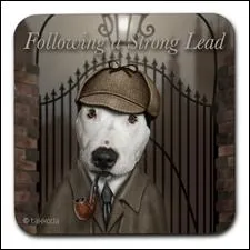 Dtective priv rsidant au 221B Baker Street cr par Sir Arthur Conan Doyle.