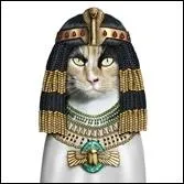 Une reine d'gypte antique...