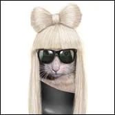  Poker Face  est l'un de ses tubes ...