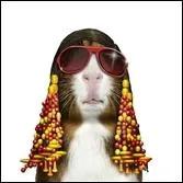 Chanteur afro-amricain aveugle depuis sa petite enfance.