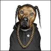 Rappeur amricain je change de nom d'artiste, comme  Snoop Lion  dans les plus rcents.