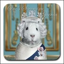 Femme parmi les plus puissantes du monde (En 2010 au rang 41) si on se rfre  un magazine conomique des USA.