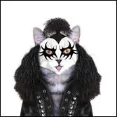 Une longue langue et des visages grims  outrance pour ce groupe amricain de (hard) rock ...