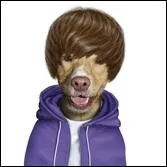 Le clip vido de  Baby , l'une de ses chansons, fit un carton de visionnage sur le web.