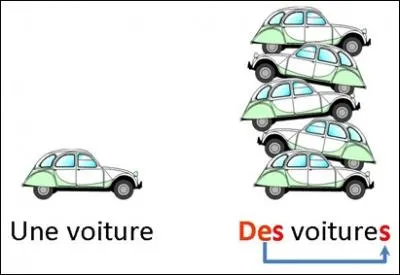 Quand on parle de singulier et de pluriel, on parle...