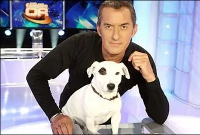 Comment se nomme ce chien jack russell connu ?