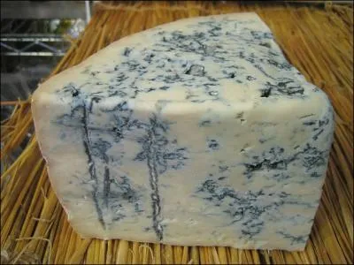 Il s'agit d'un fromage traditionnel  base de lait de vache,  pte persille, produit dans les rgions de Lombardie et du Pimont :