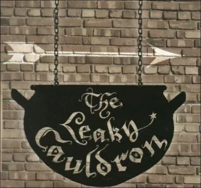 Qui deviendra le(la) patron(ne) du Chaudron Baveur ?