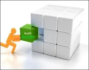 Les audits, enqutes administratives, menes par l'IGPN peuvent concerner entre autres :