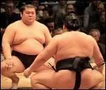 En sumo, un grand champion est aussi appel ...