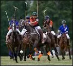 Quel sport passionnait Walt Disney ?