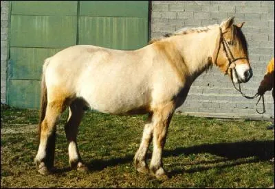 Quelle couleur est cette robe ?