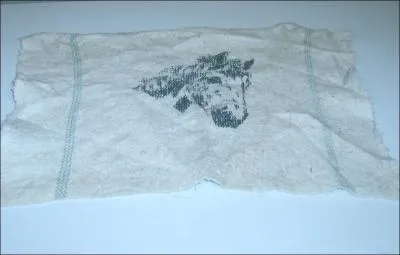 Comment s'appelle ce matriel d'quitation ?