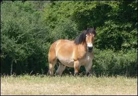 Quelle est sa taille moyenne ?