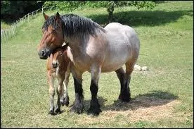 Dans quel domaine est-il utilis� ?