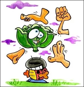  Savez-vous planter les choux ?   demande cette chanson enfantine. Et vous, savez-vous avec quoi on ne les plante PAS ?