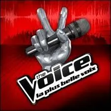 Qui prsentait la suite de  The Voice  sur TF1, lors de la saison 1 ?