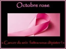 L'opration Octobre rose est consacre  la mobilisation pour la lutte contre le cancer du sein. Il s'agit ...