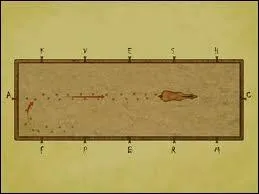 Comment s'appelle cette figure de mange ?