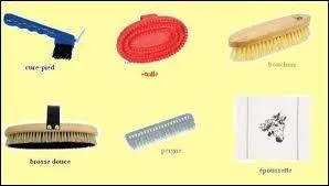 Dans quel ordre se fait le pansage ?