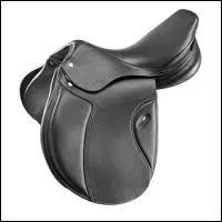 Quel type de selle existe ?