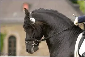 Quelle est sa robe ?