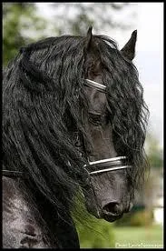 Parmi ces caractristiques laquelle est tolre ?