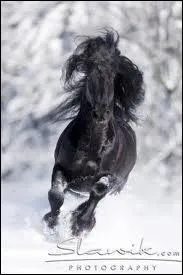 Quelle tait l'ancienne utilit du frison ? (plusieurs rponses)