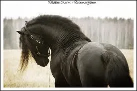 Quelle tait le nombre d'talons au 20e sicle ?